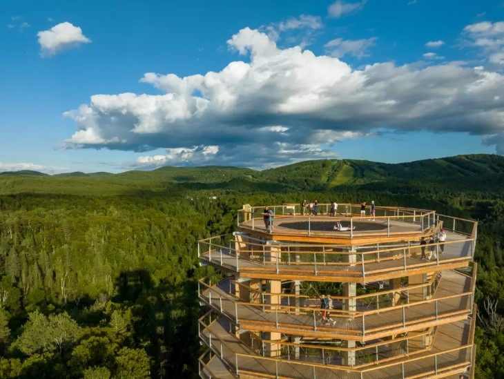 treetop walk (홈페이지)